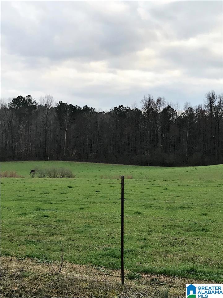 0 Valley Drive Steele, AL 35987 - Photo 3 of 6