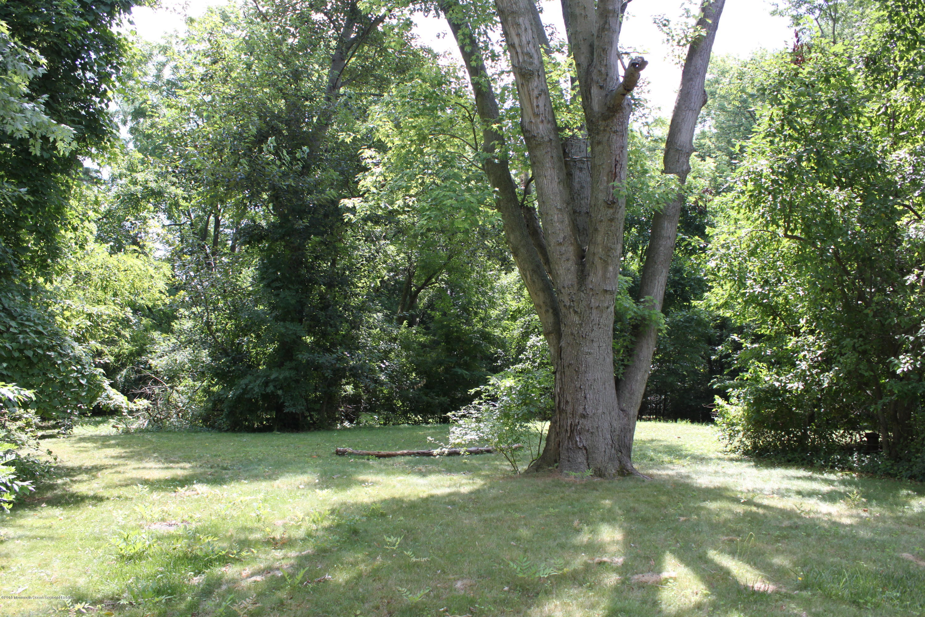 3 Five Points Road Freehold, NJ 07728 - Photo 3 of 13 IMG_0765