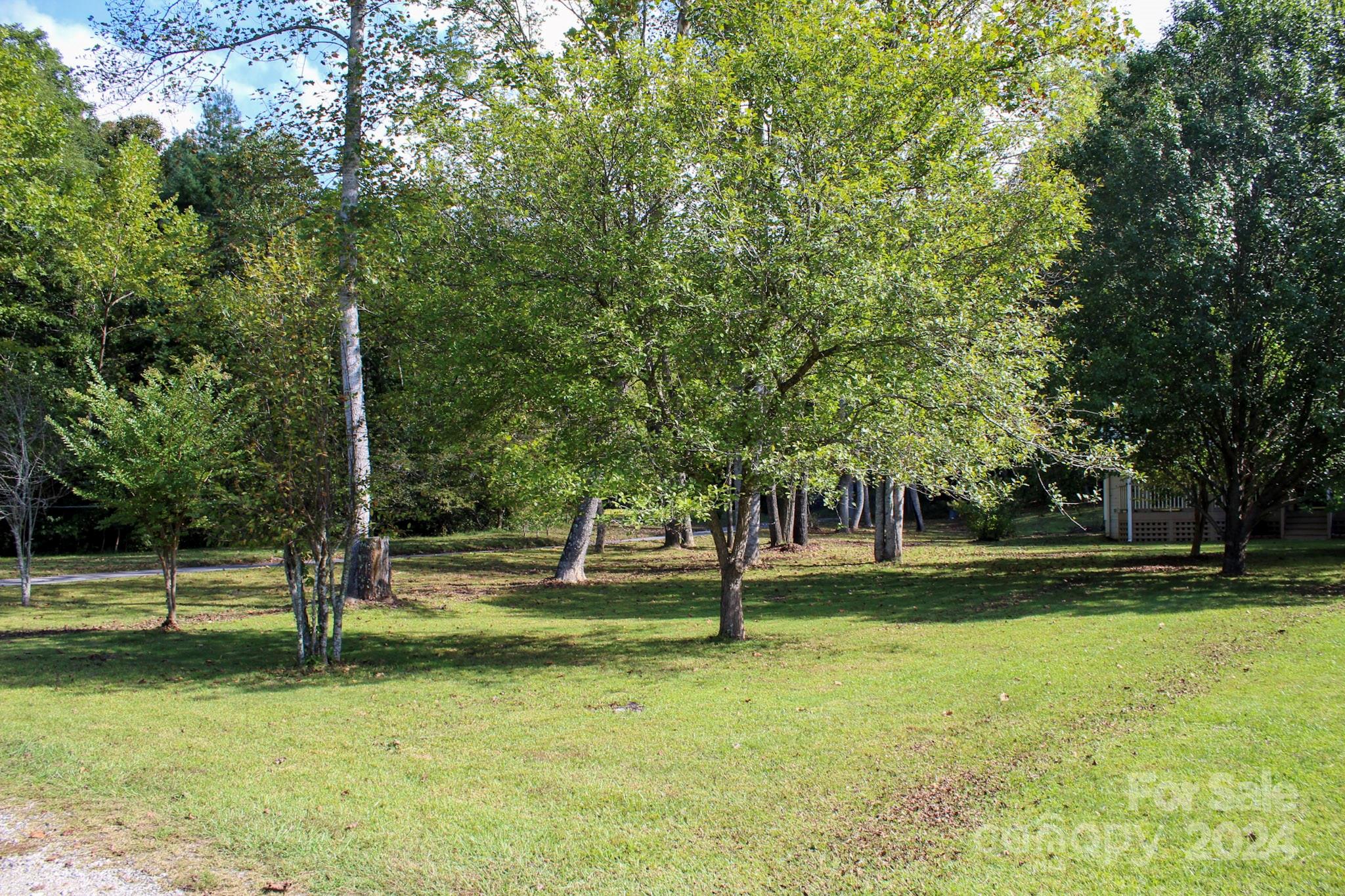 63 Wheatfield Road Franklin, NC 28734 - Photo 10 of 39 Gallery Image 10