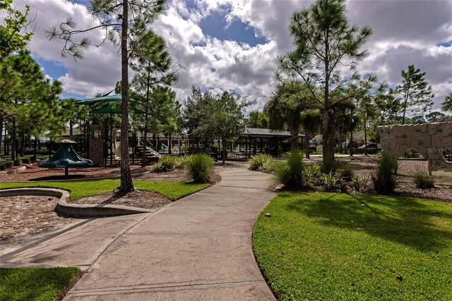 a view of a park with large trees