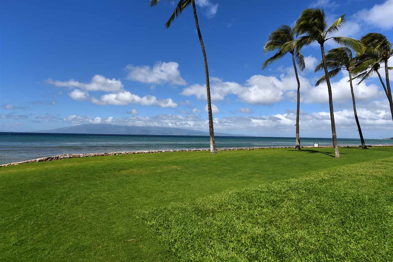 3543 Lower Honoapiilani Road, Unit L302 Lahaina, HI 96761 - Photo 16 of 28 a view of a backyard