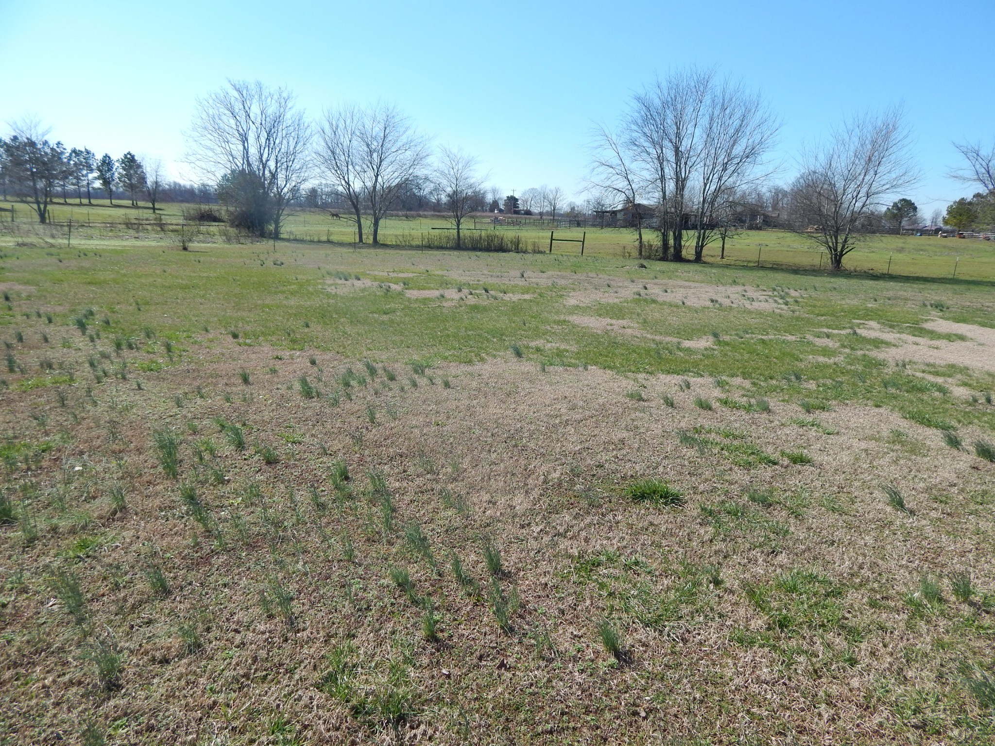 19 Power Station Road Taft, TN 38488 - Photo 2 of 16 a view of a golf course with a lake