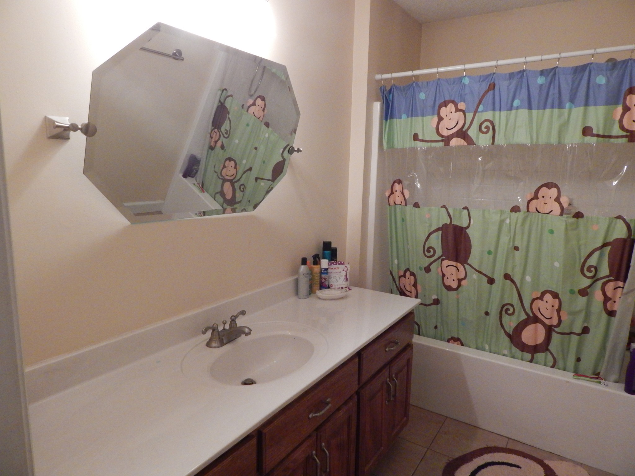 19 Power Station Road Taft, TN 38488 - Photo 8 of 16 a bathroom with a sink and mirror with wall