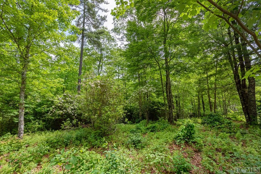 Lot 39 Covered Bridge Road Cullowhee, NC 28723 - Photo 6 of 26 Gallery Image 6