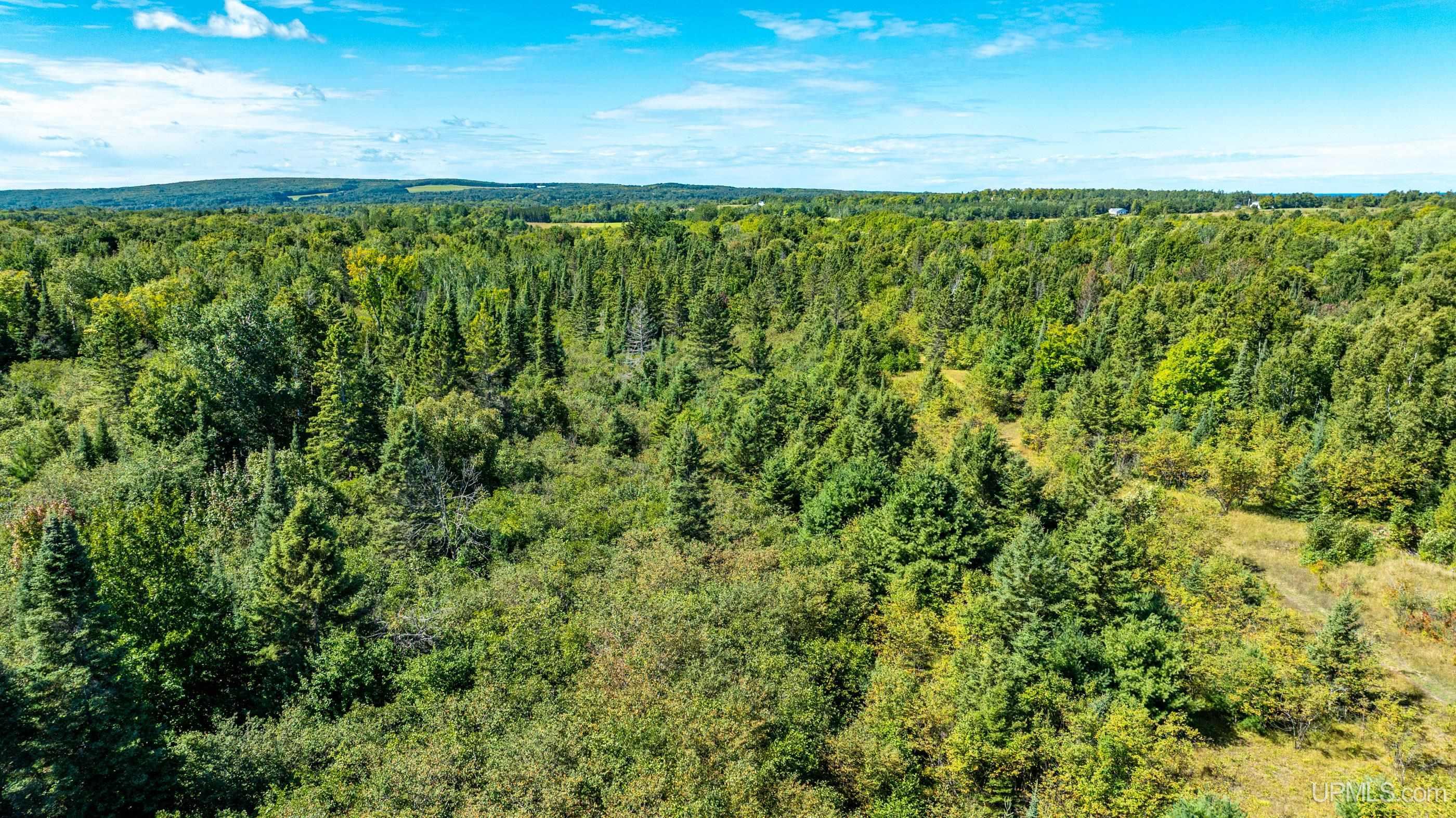 54509 Salo Road Hancock, MI 49930 - Photo 38 of 58