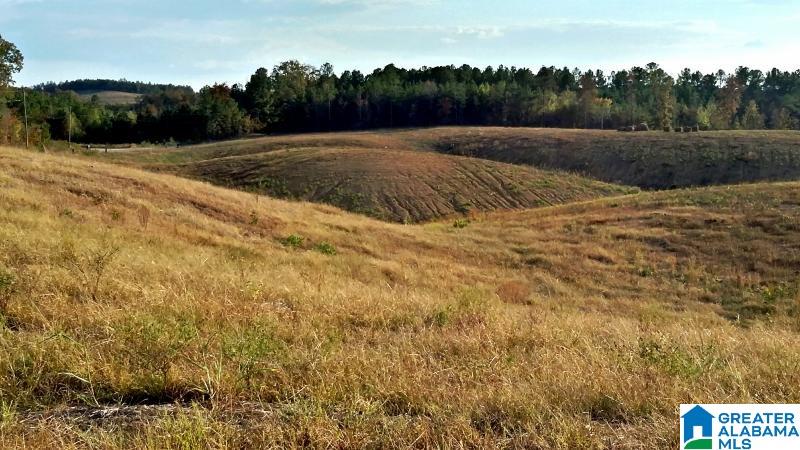 Lehigh Road, Unit 1 Warrior, AL 35180 - Photo 3 of 23