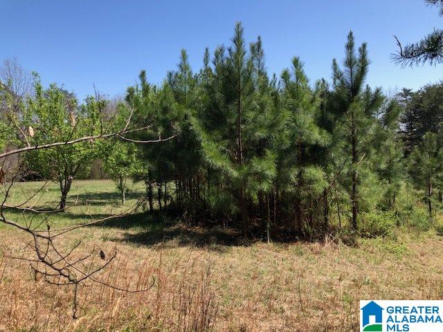 0 High Pointe Drive Warrior, AL 35180 - Photo 4 of 12