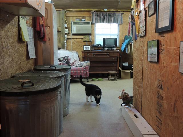 261 Hopkins Road Pulaski, TN 38478 - Photo 8 of 14 Tack room with saddle racks and barn cats included!
