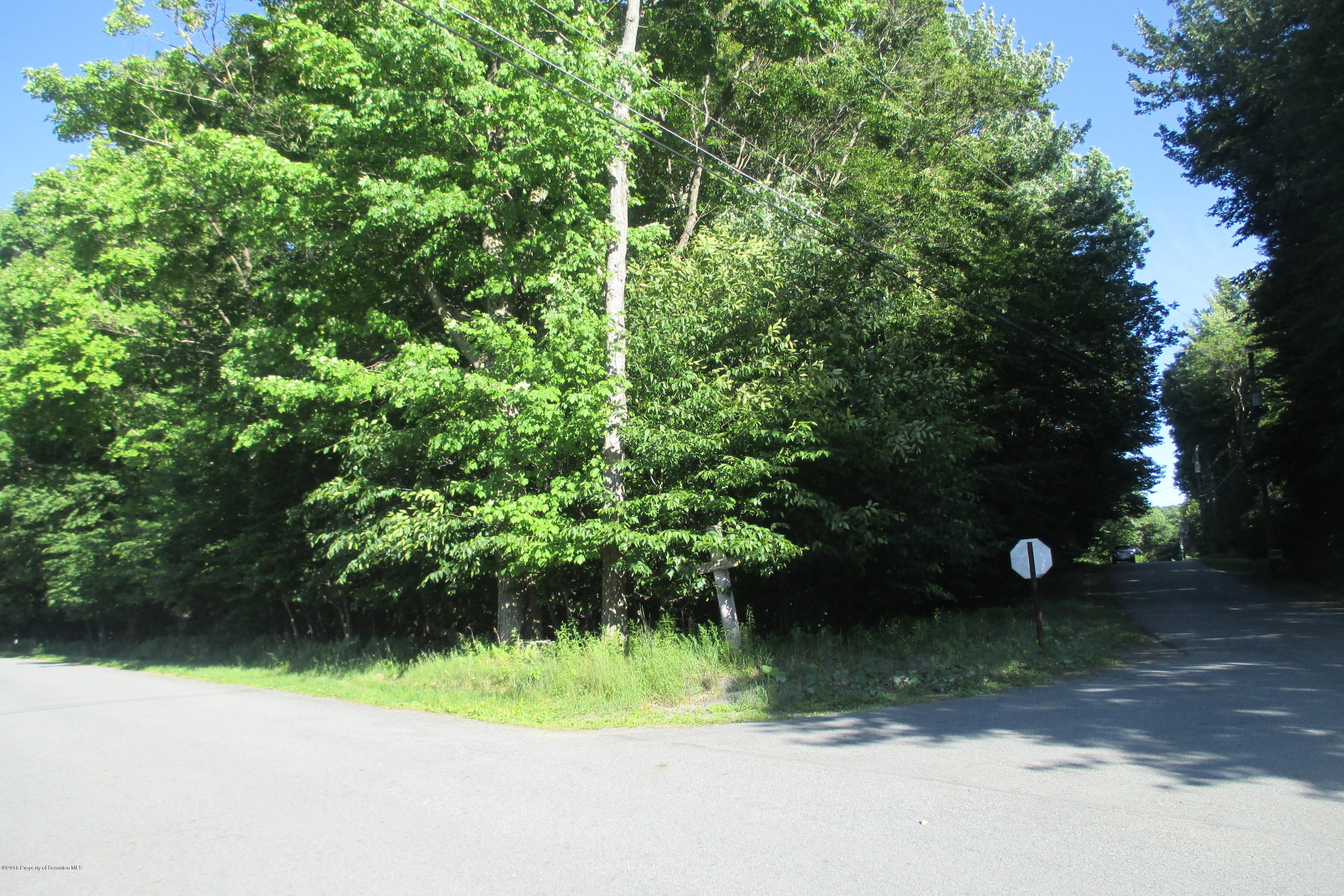 LOT # 22