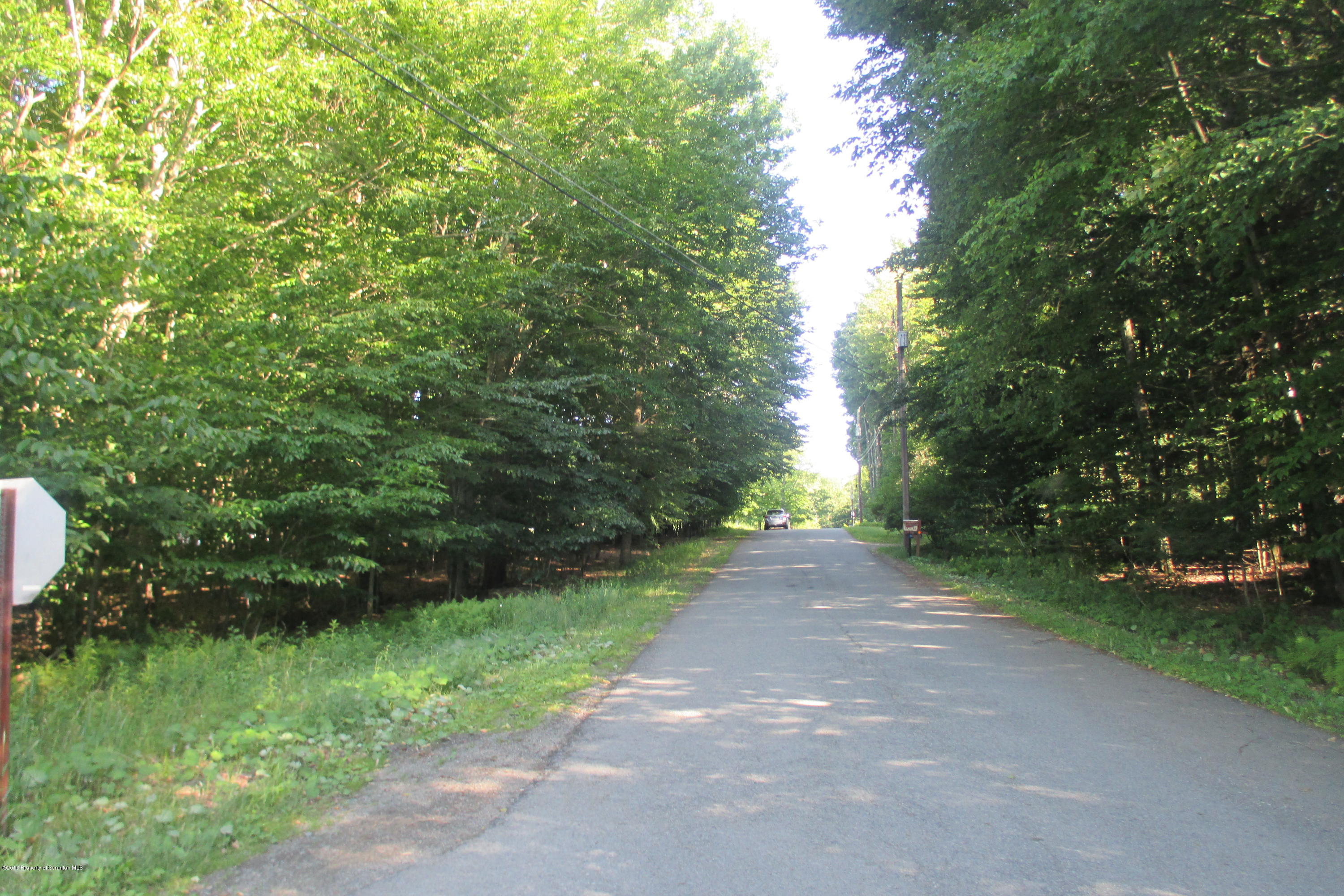 Lot #22 Cor Blue Spruce & Hemlock Rd Spring Brook Moscow, PA 18444 - Photo 3 of 5 Blue Spruce Road