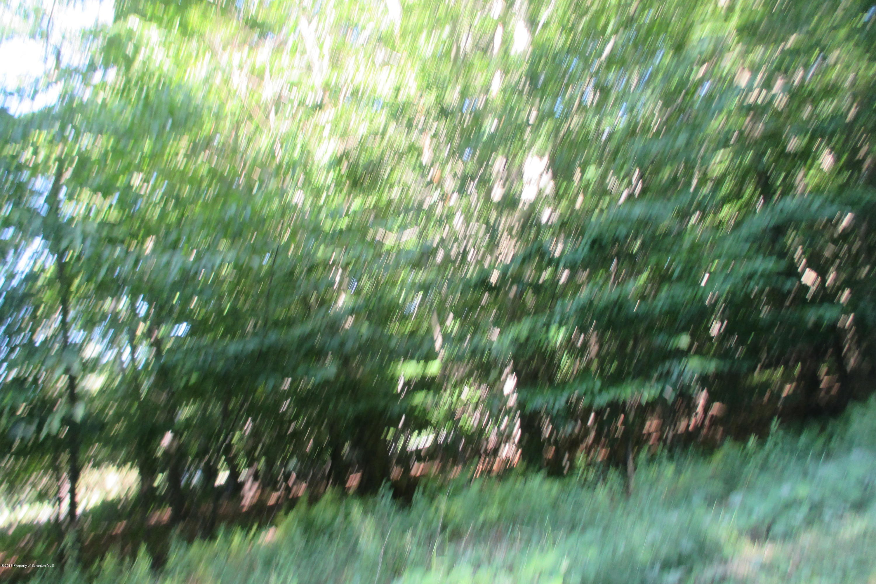 Lot #22 Cor Blue Spruce & Hemlock Rd Spring Brook Moscow, PA 18444 - Photo 5 of 5 Wooded Lot