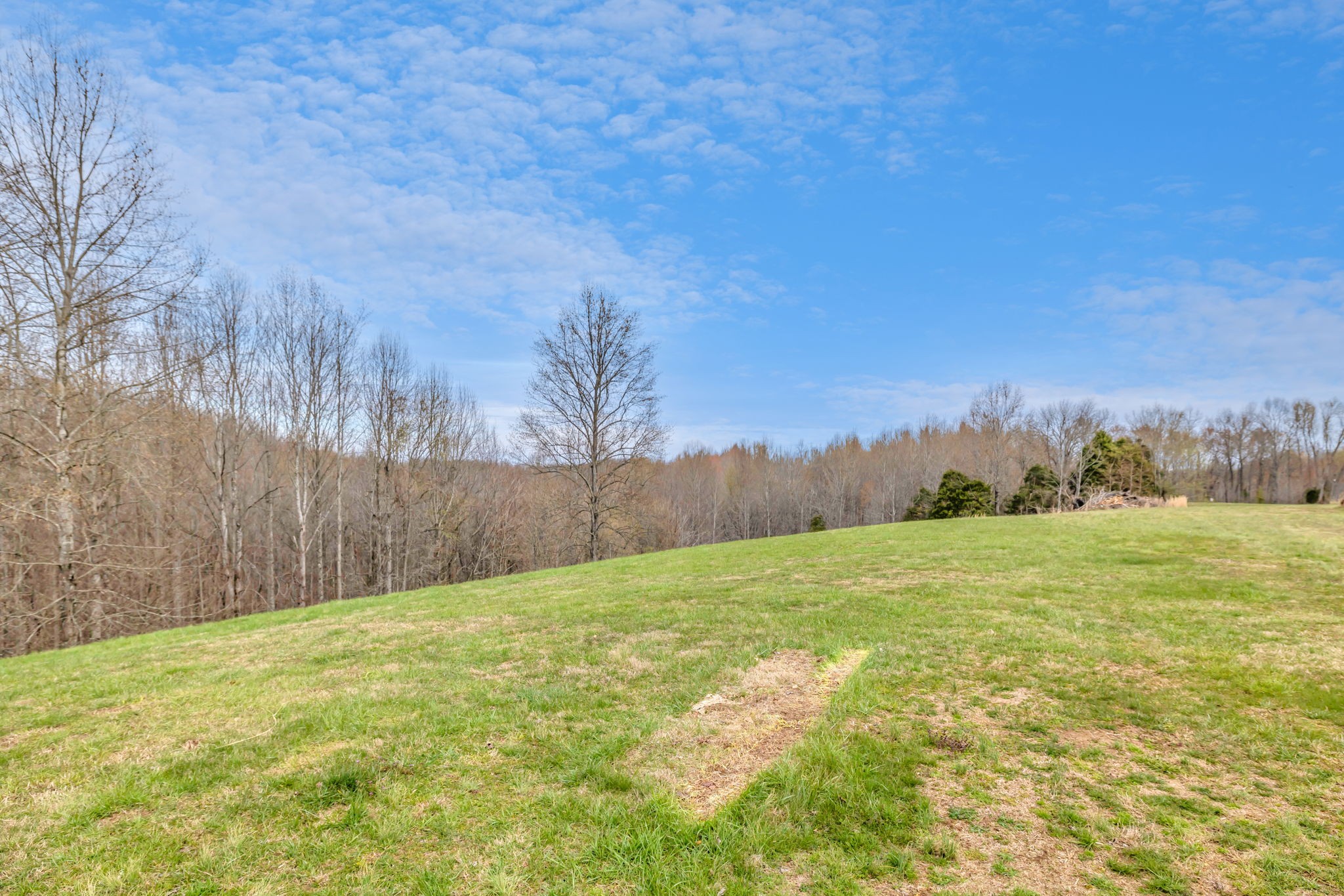491 Pea Ridge Road Chestnut Mound, TN 38552 - Photo 30 of 39 Gallery Image 30