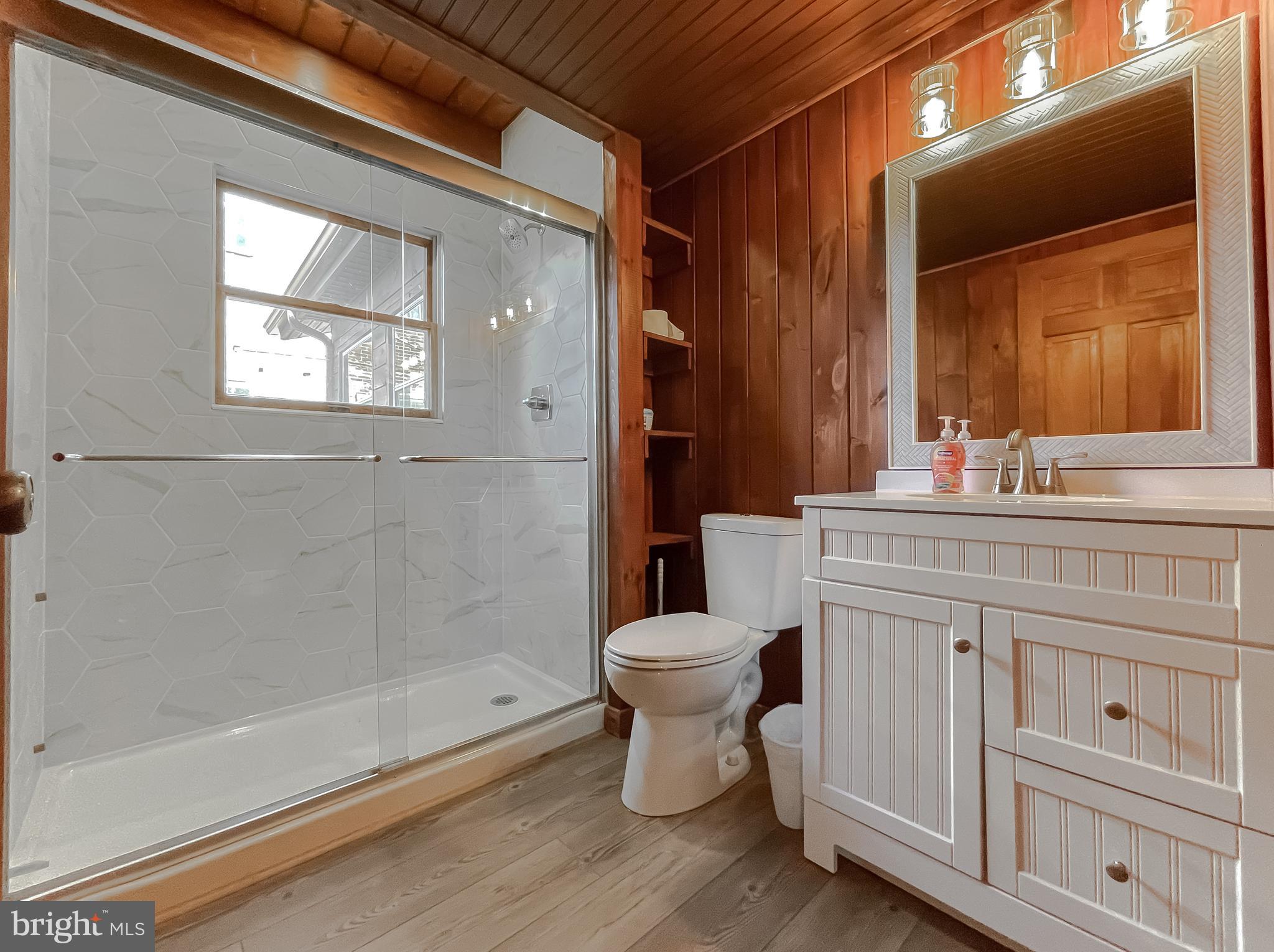 23581 Belmar Drive Leonardtown, MD 20650 - Photo 21 of 54 a bathroom with a sink a toilet and shower