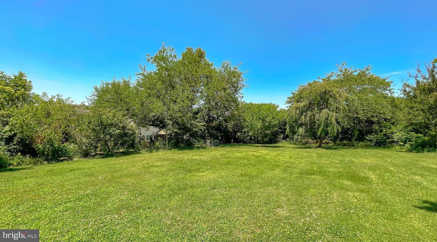 23581 Belmar Drive Leonardtown, MD 20650 - Photo 47 of 54 a view of a field with trees in the background