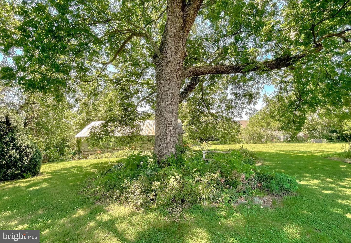 23581 Belmar Drive Leonardtown, MD 20650 - Photo 51 of 54 a view of yard with green space