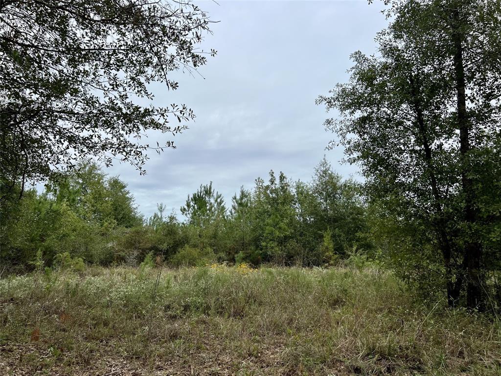 1947 Felix Currie Rd