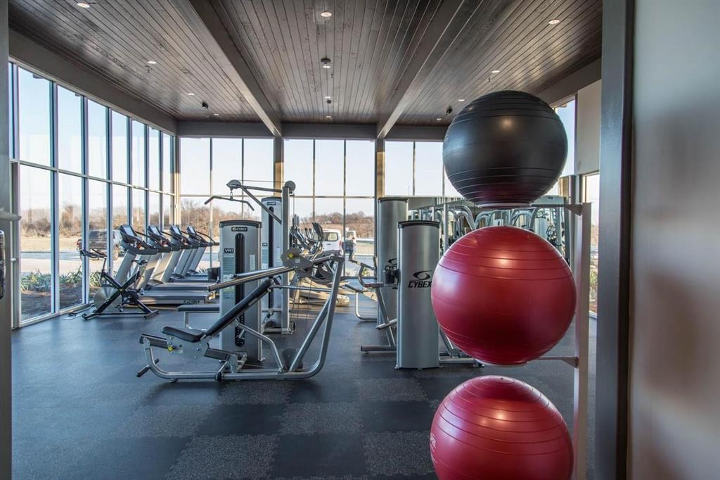 6209 Cupleaf Road Flower Mound, TX 76226 - Photo 28 of 34 Community fitness center