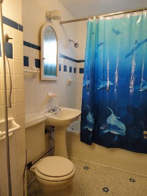 2529 Grove Avenue Berwyn, IL 60402 - Photo 7 of 16 a bathroom with a sink toilet and shower