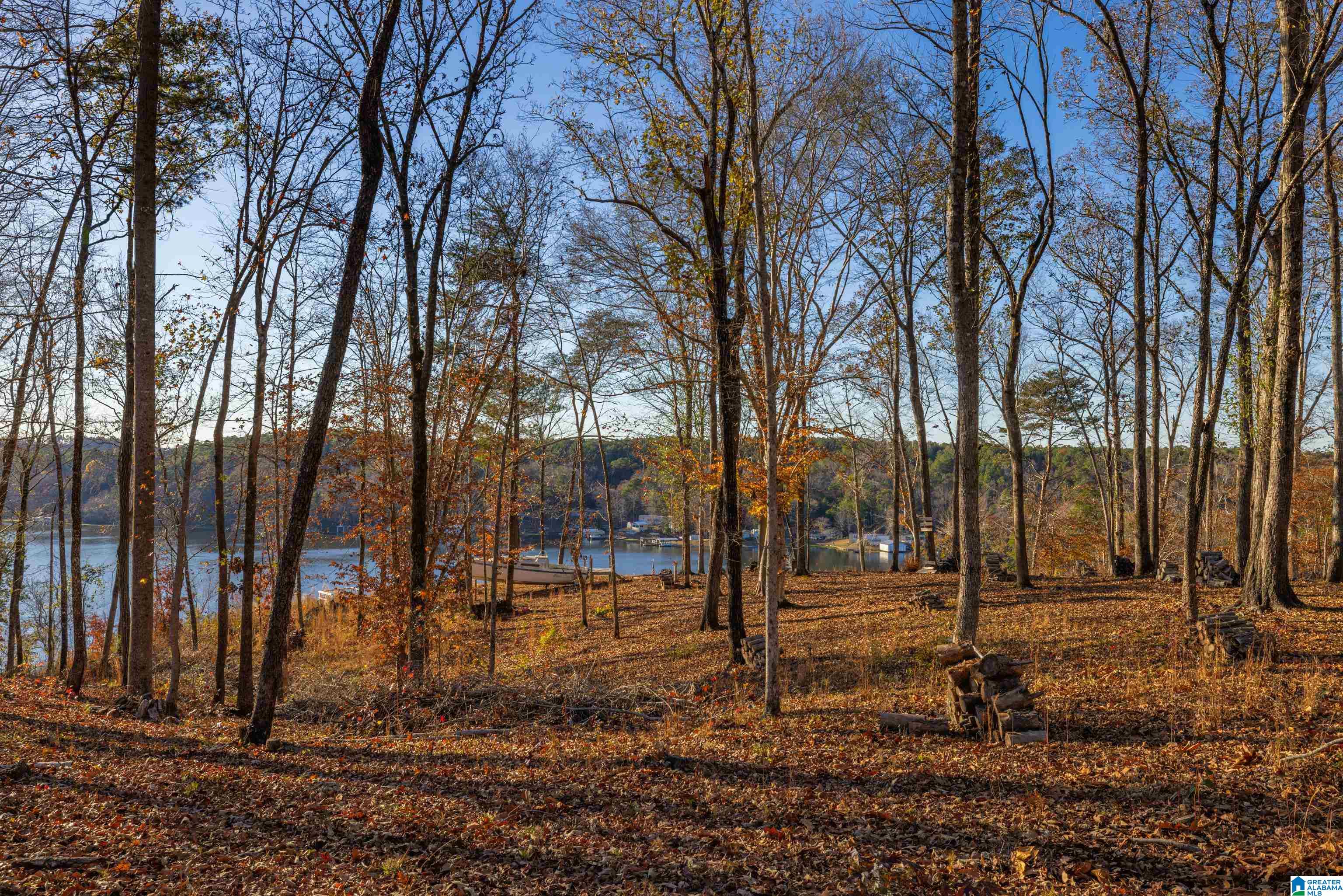 191 Warrior River Highlands Road Adger, AL 35006 - Photo 48 of 81
