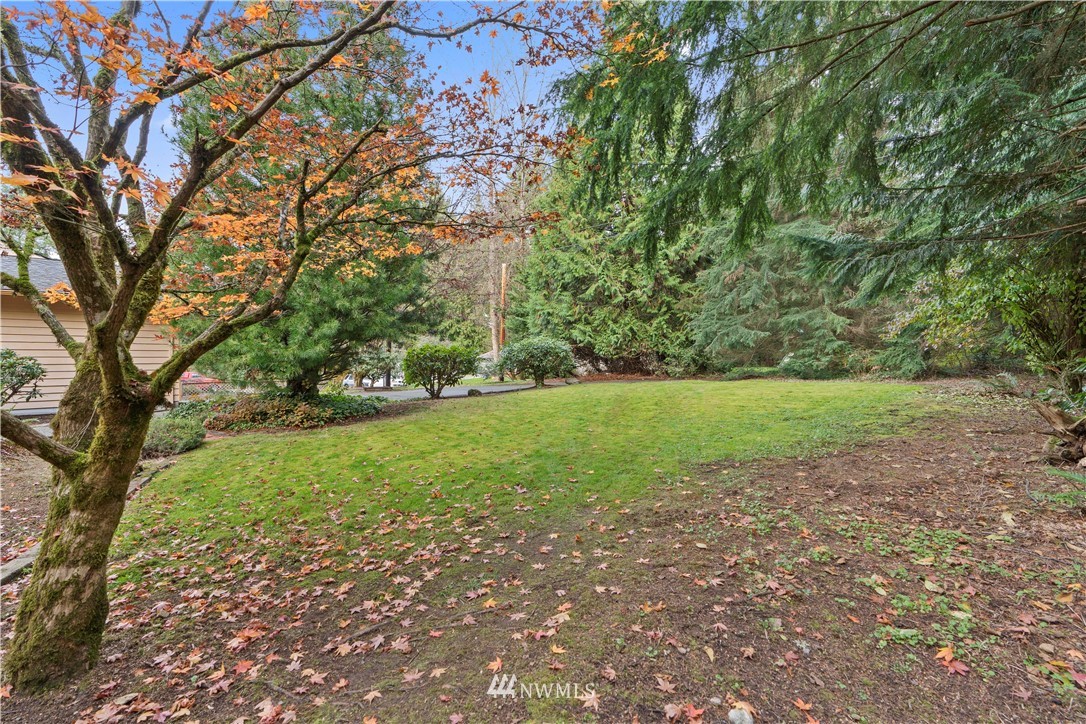 19728 45th Avenue Southeast Bothell, WA 98012 - Photo 22 of 25 a view of a field with large trees