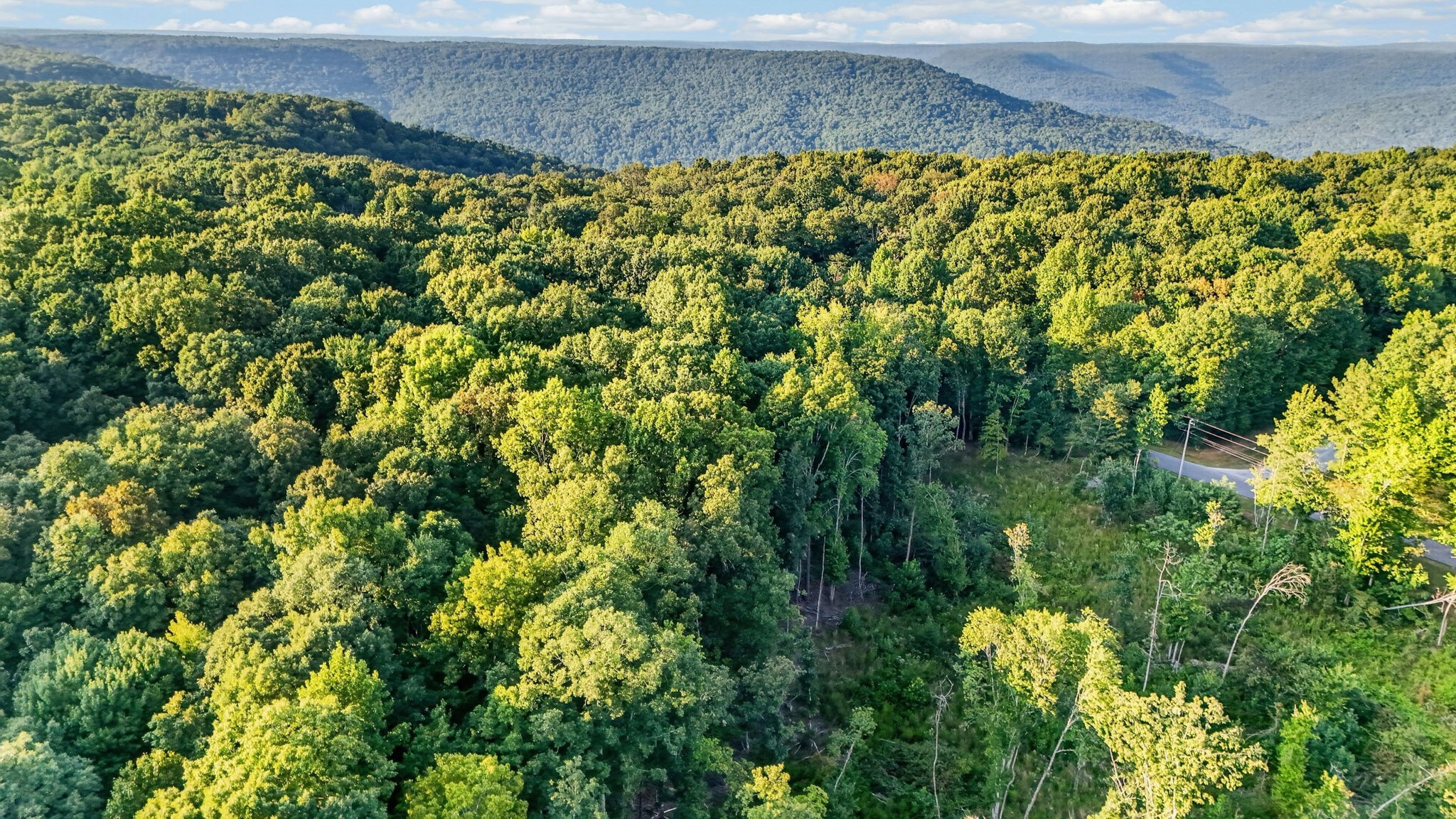 0 Jackson Point Road Sewanee, TN 37375 - Photo 17 of 21 Gallery Image 17
