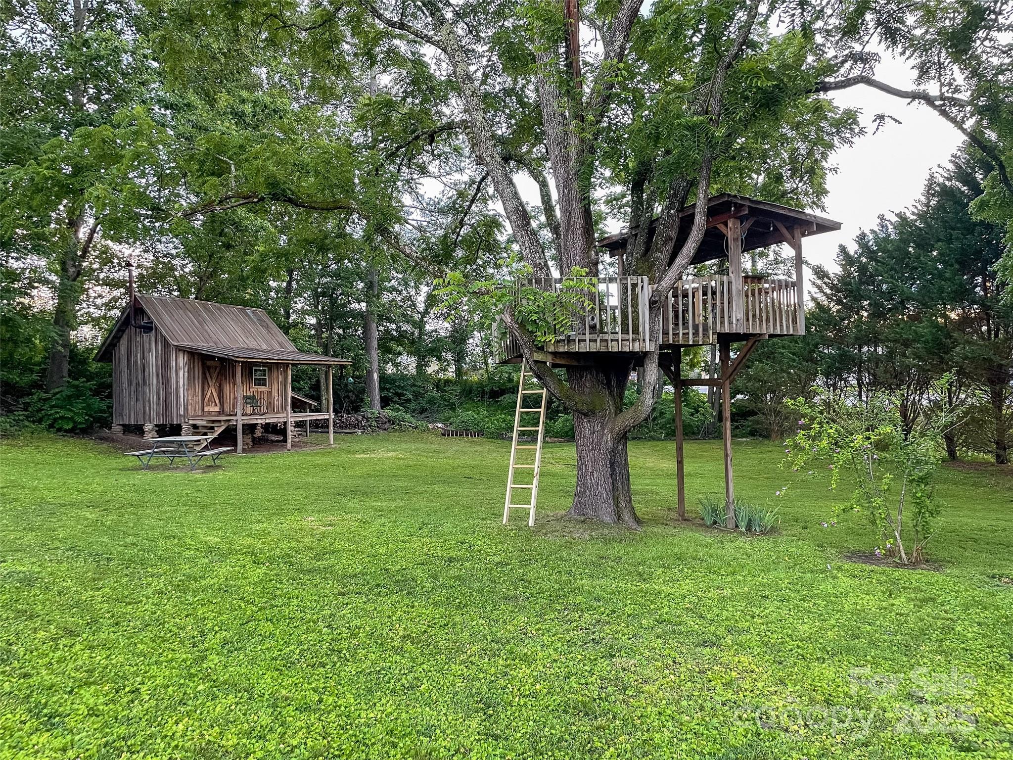 102 Cuthberson Street Morganton, NC 28655 - Photo 41 of 45 a view of a house with a backyard and a slide