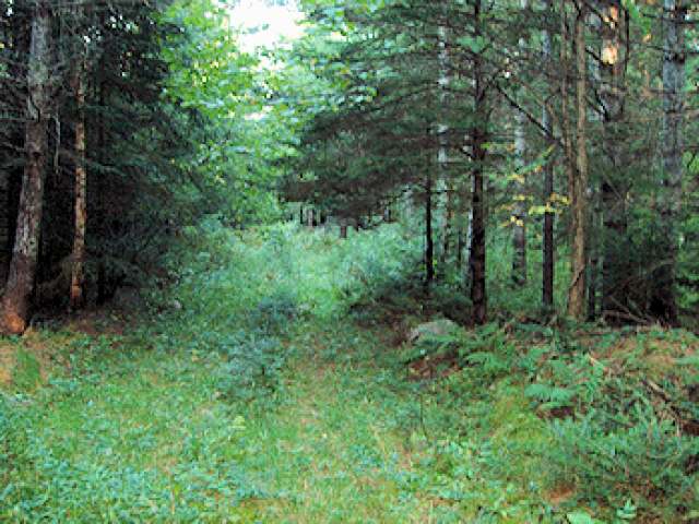 On Grunerwald Road Park Falls, WI 54552 - Photo 2 of 3 Gallery Image 2
