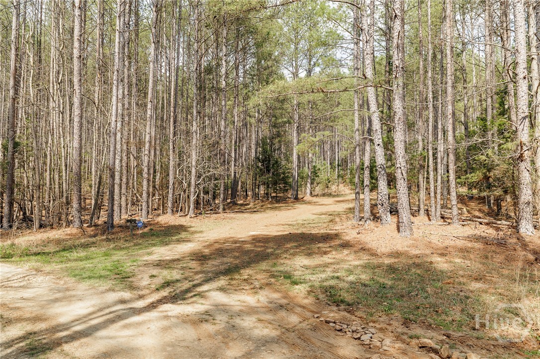 2970 Davids Home Church Road Comer, GA 30629 - Photo 50 of 60