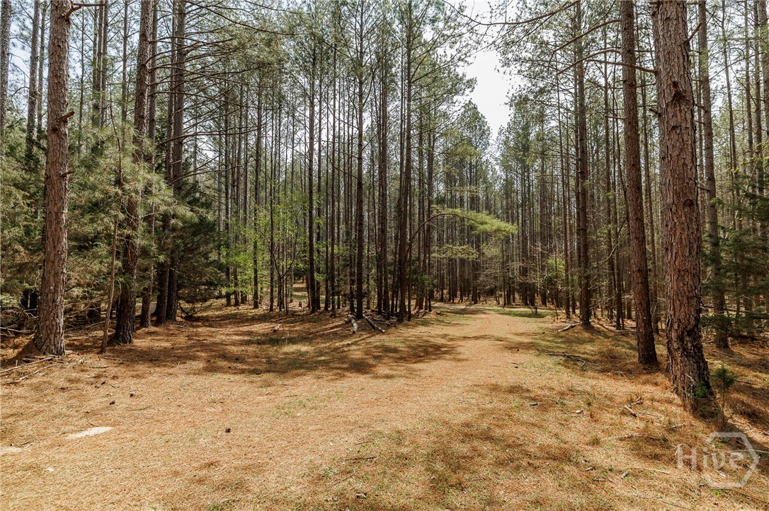 2970 Davids Home Church Road Comer, GA 30629 - Photo 51 of 60