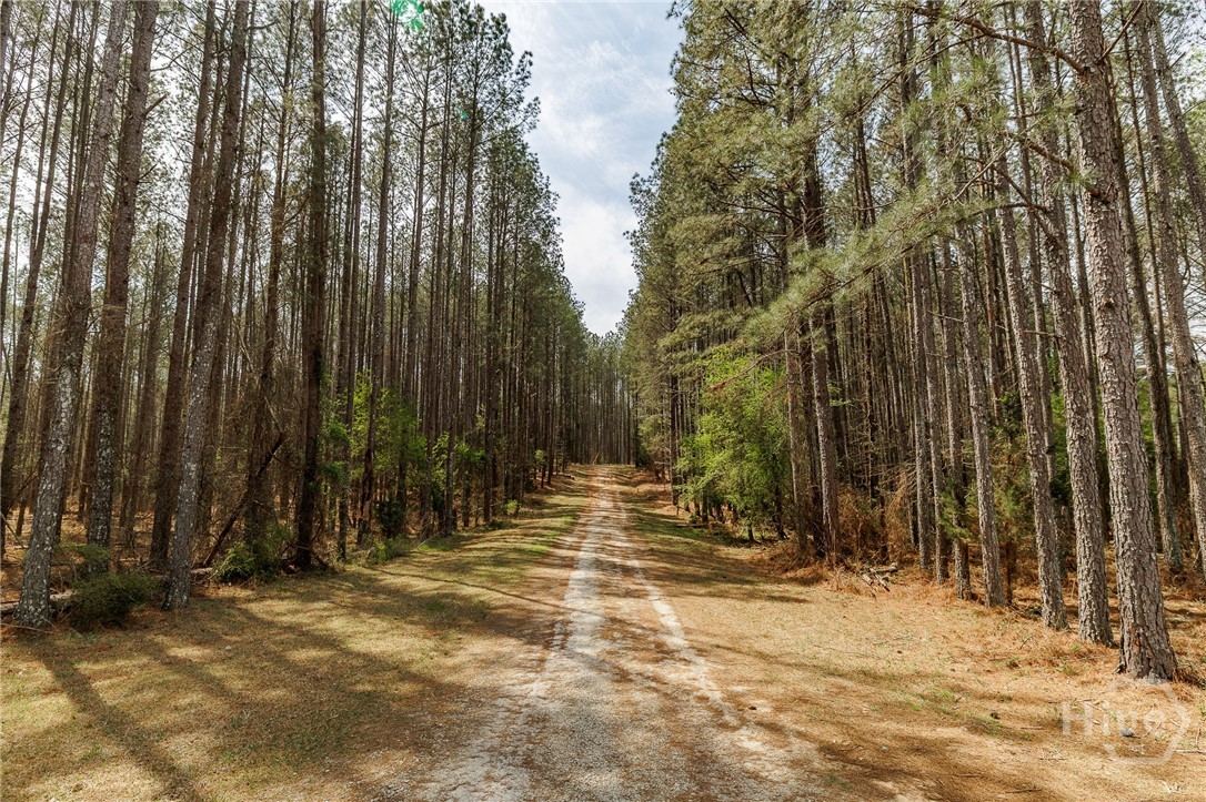 2970 Davids Home Church Road Comer, GA 30629 - Photo 52 of 60