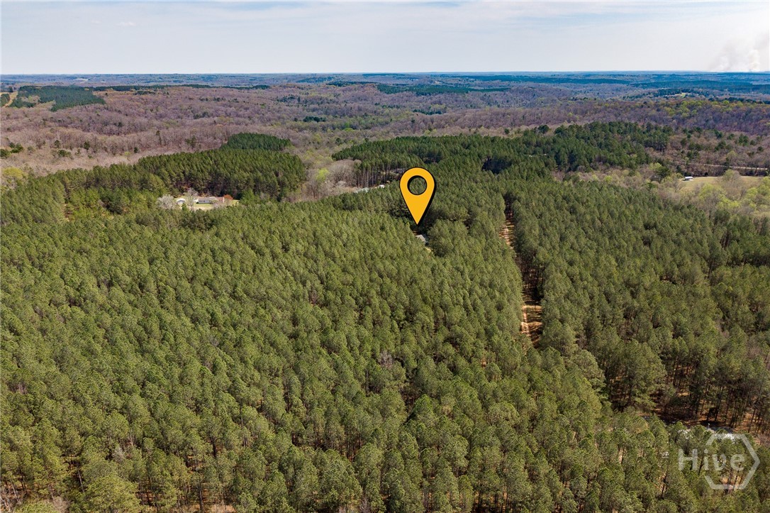 2970 Davids Home Church Road Comer, GA 30629 - Photo 57 of 60