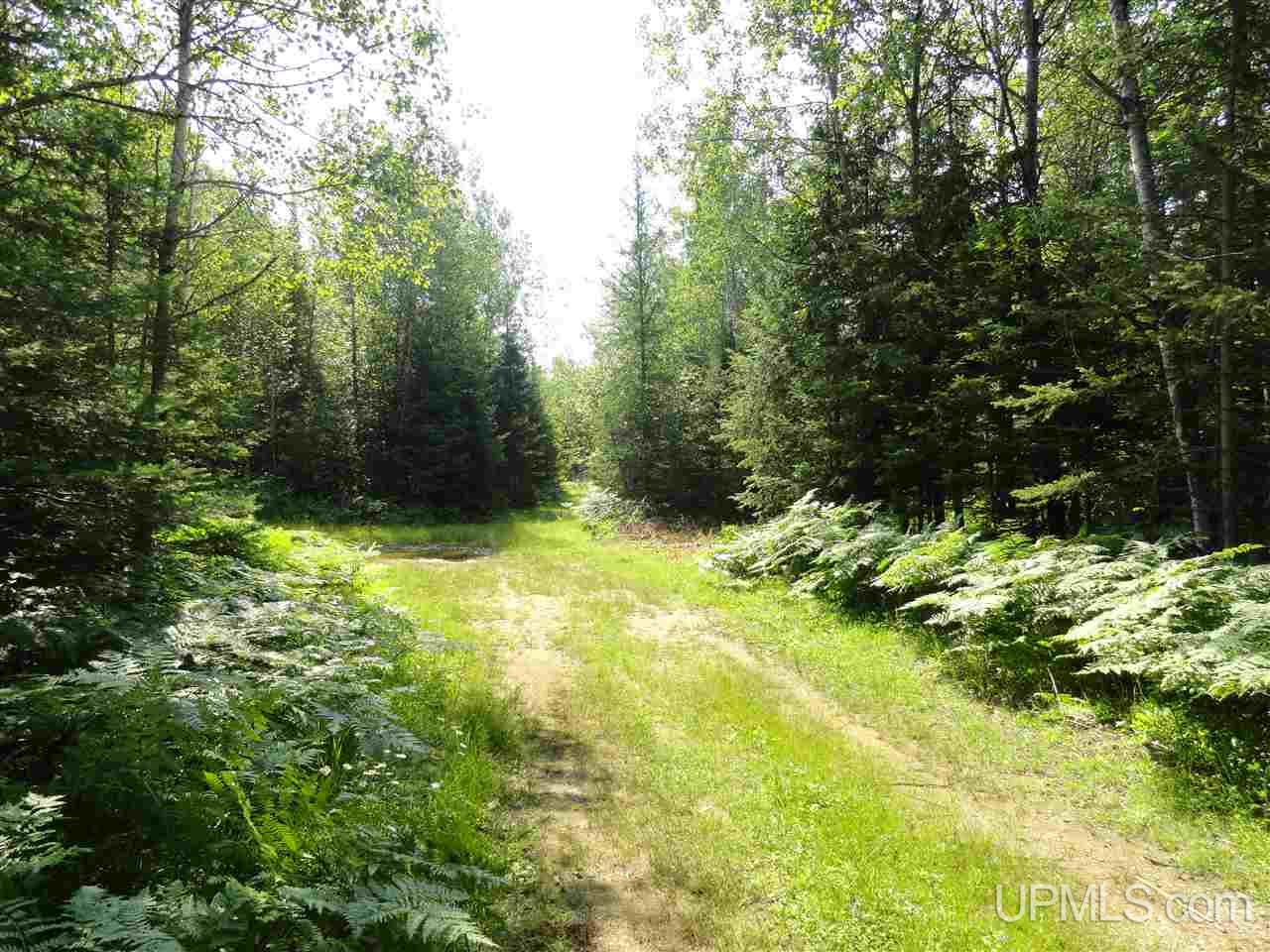 8878 Co Road Republic, MI 49879 - Photo 12 of 34