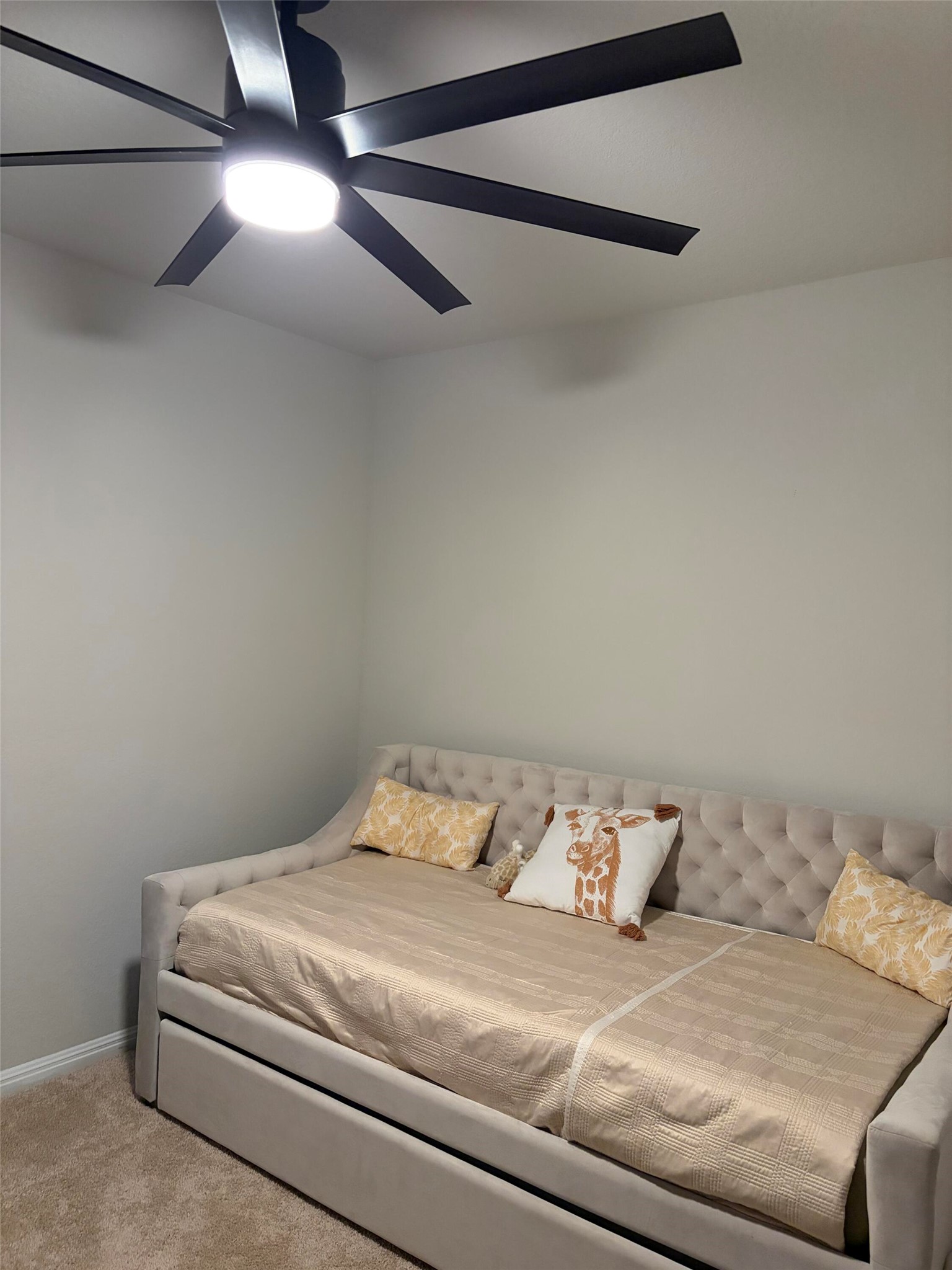 119 Mercer Street Bastrop, TX 78602 - Photo 10 of 19 Carpeted bedroom with ceiling fan
