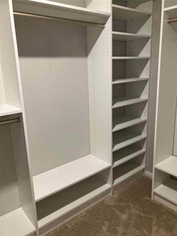 119 Mercer Street Bastrop, TX 78602 - Photo 14 of 19 a view of walk in closet with empty racks