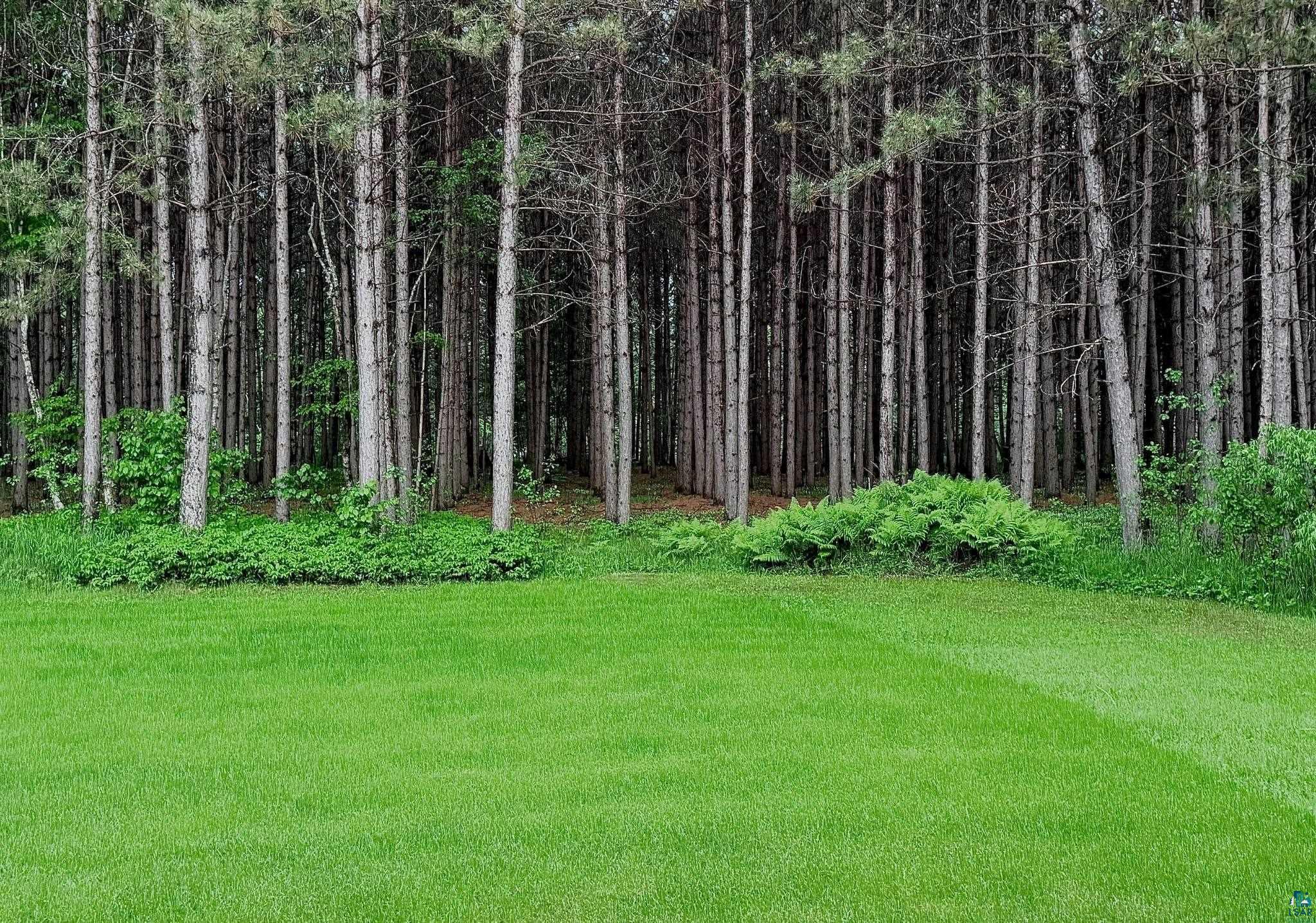 41 East Stark Road Esko, MN 55733 - Photo 5 of 5 Yard