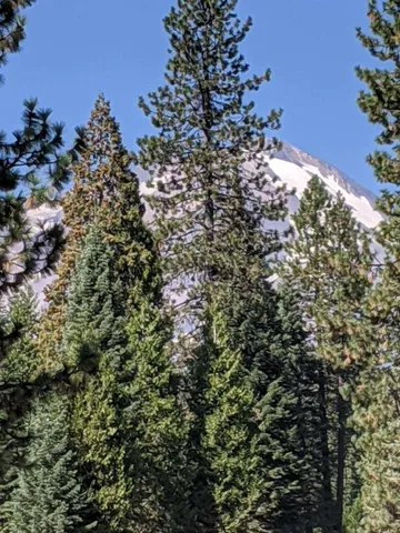 $20,000 | 21 Ridge Drive, McCloud, CA 96057