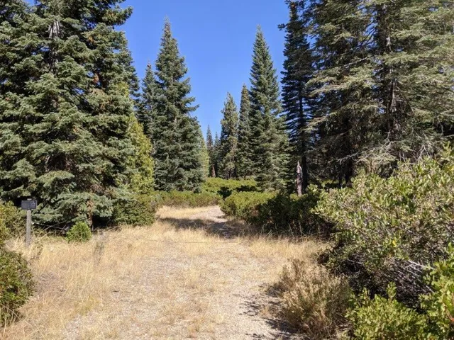 $20,000 | 21 Ridge Drive, McCloud, CA 96057