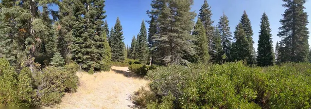 $20,000 | 21 Ridge Drive, McCloud, CA 96057