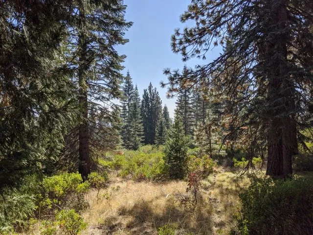 $20,000 | 21 Ridge Drive, McCloud, CA 96057