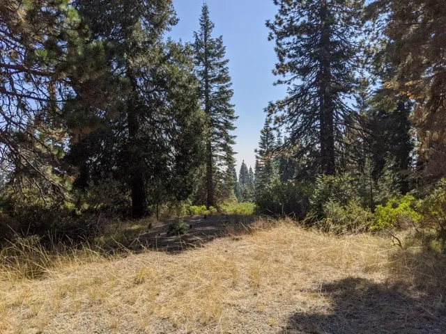 $20,000 | 21 Ridge Drive, McCloud, CA 96057