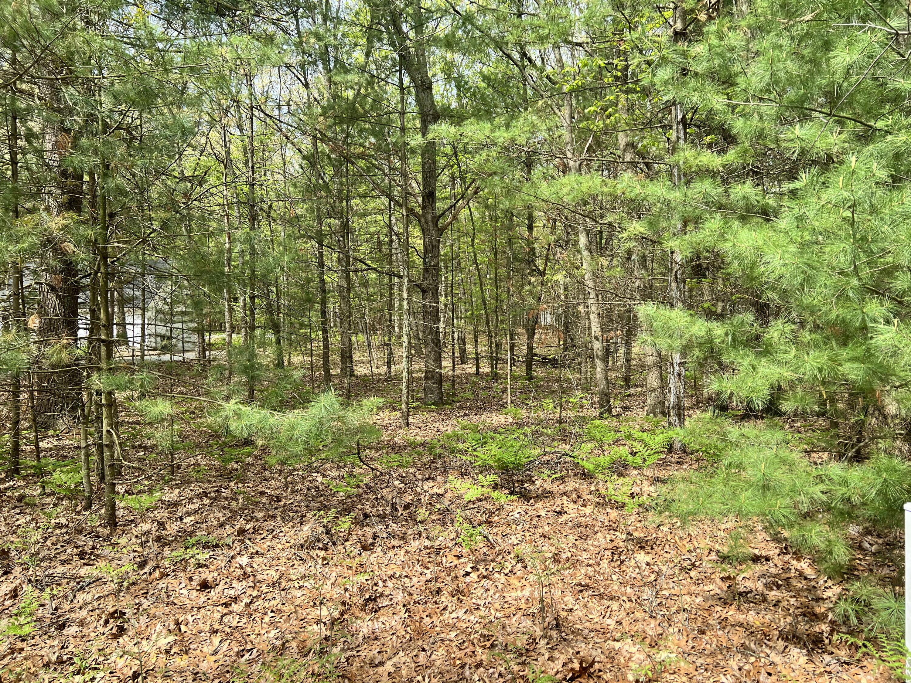 Lot 95 Iroquois Road Pentwater, MI 49449 - Photo 6 of 11 IMG_8266