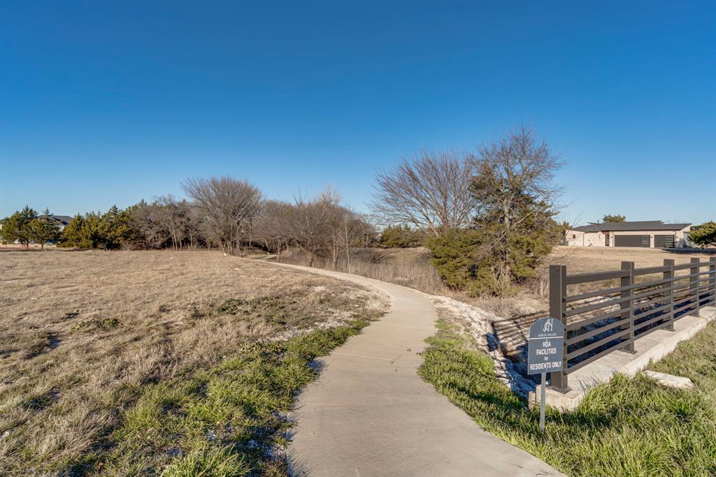4210 Tea Olive Trail Midlothian, TX 76065 - Photo 14 of 30 a view of a yard with potted plants