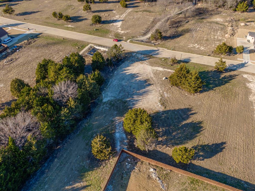 4210 Tea Olive Trail Midlothian, TX 76065 - Photo 23 of 30 a view of a yard with wooden fence