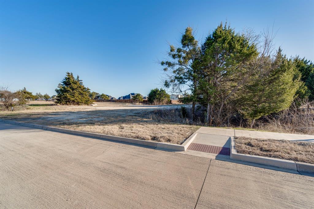 4210 Tea Olive Trail Midlothian, TX 76065 - Photo 7 of 30 a view of a yard and road