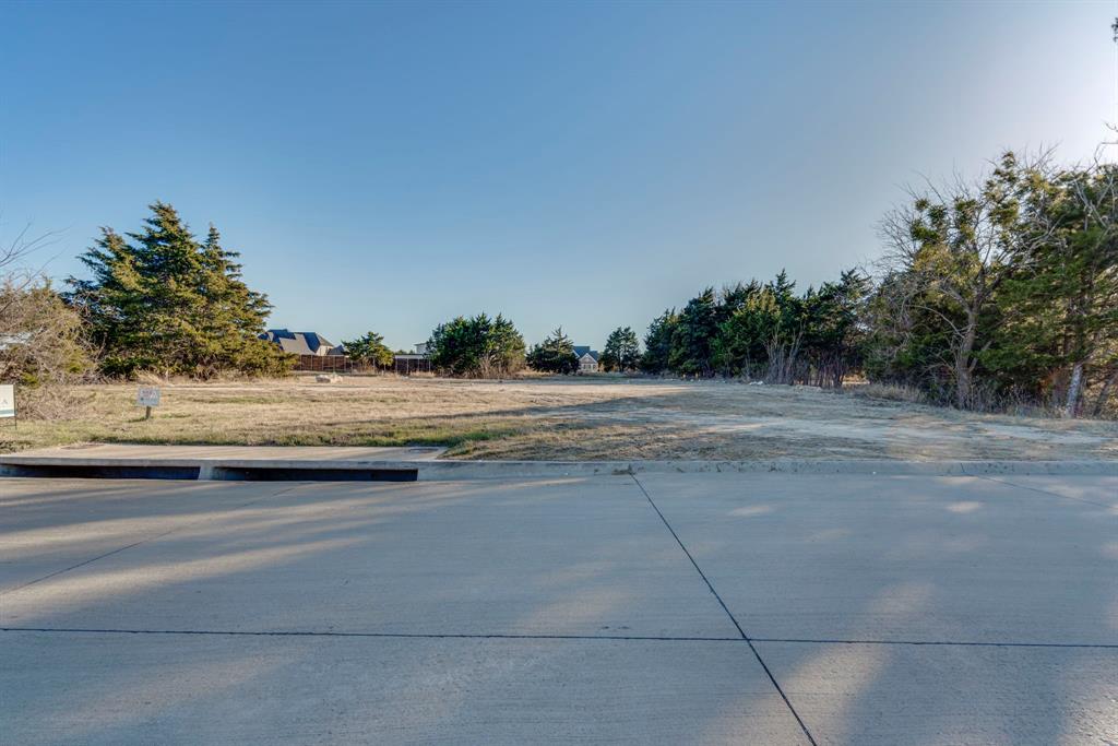 4210 Tea Olive Trail Midlothian, TX 76065 - Photo 8 of 30 a view of a parking space with a car parked on the road