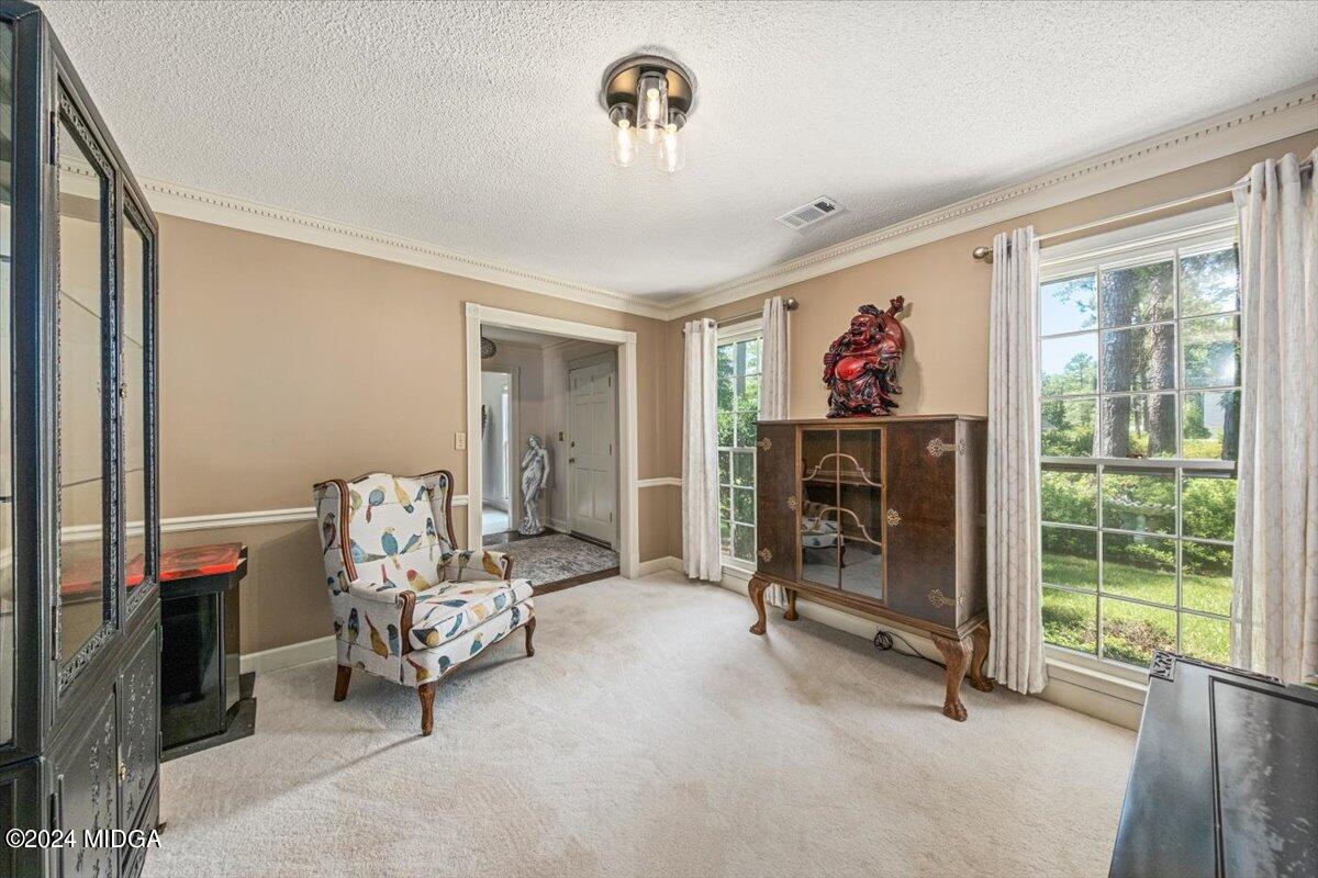 5369 Rivoli Drive Macon, GA 31210 - Photo 16 of 40 a living room with furniture a flat tv screen and a closet
