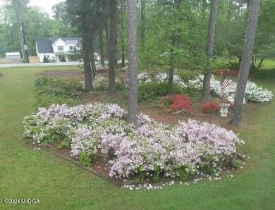 5369 Rivoli Drive Macon, GA 31210 - Photo 40 of 40 a view of a garden with a fountain
