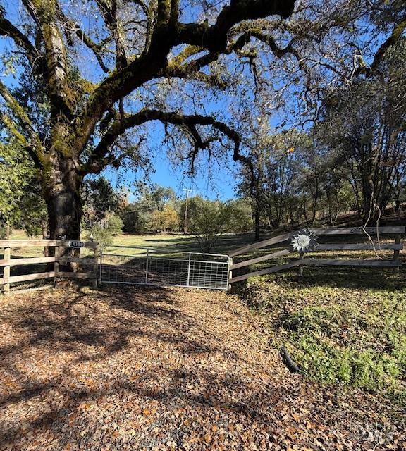 14180 Poonkinney Road Dos Rios, CA 95429 - Photo 3 of 18 a backyard of a house with lots of green space