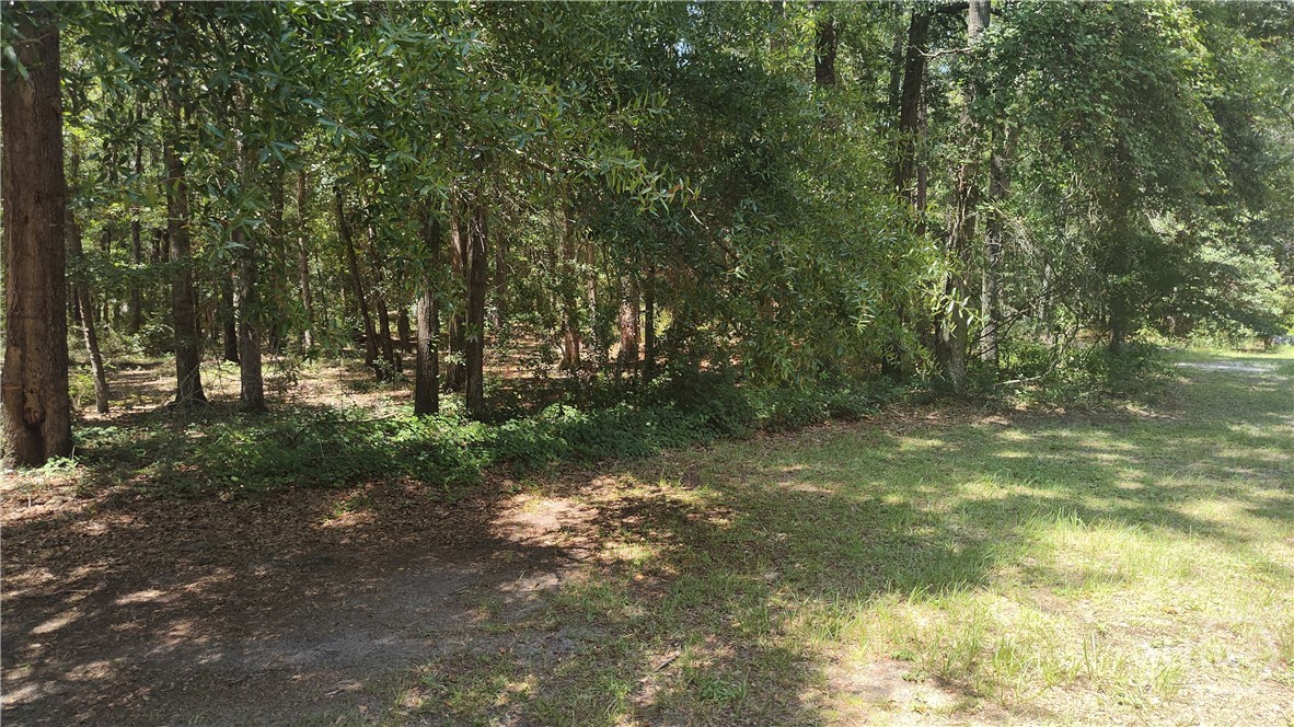 1409 Ebenezer Road Rincon, GA 31326 - Photo 39 of 39