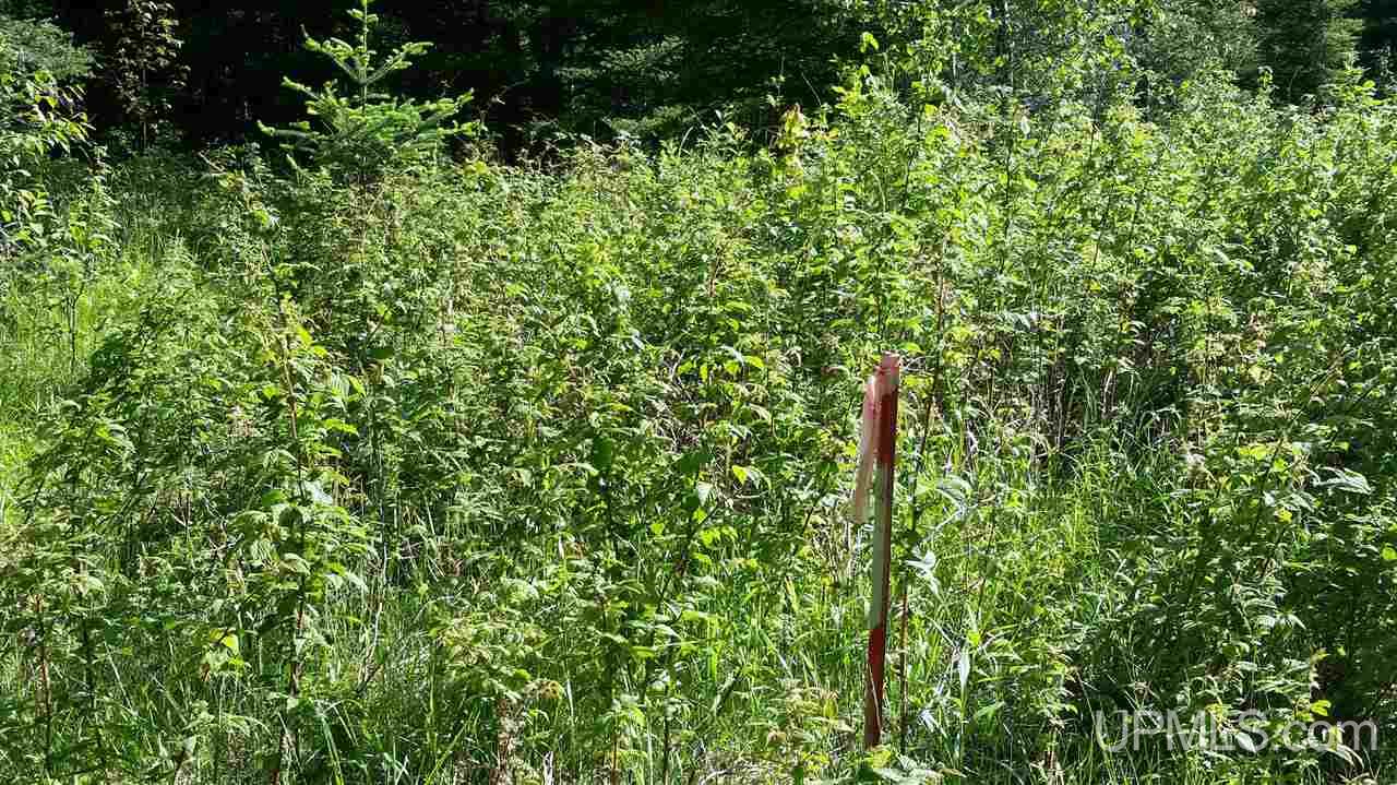 Tbd Off Kime-backlund Road Foster City, MI 49807 - Photo 2 of 12
